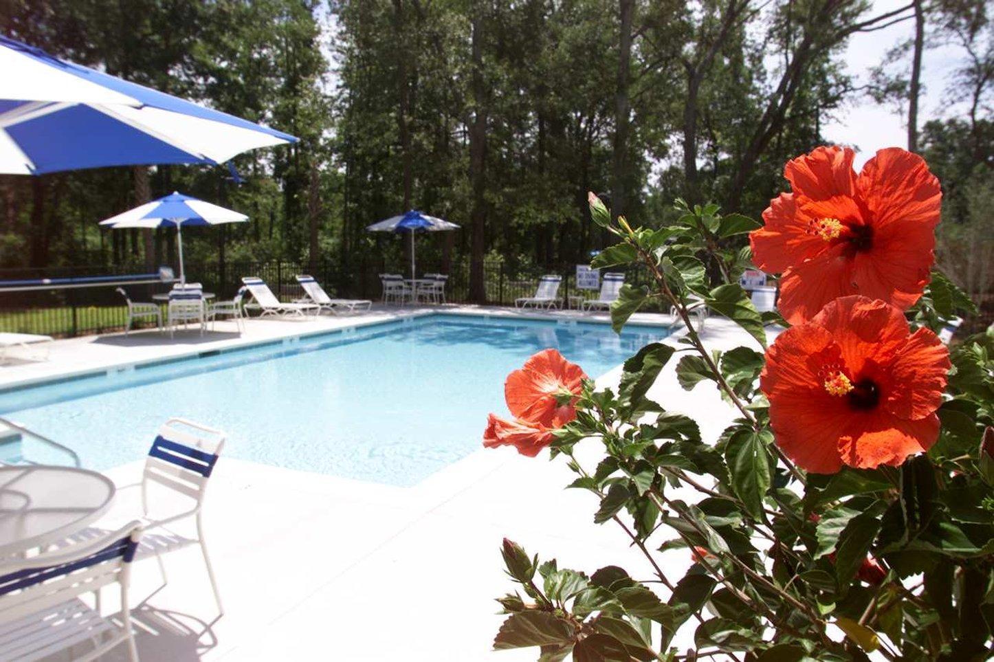 Hampton Inn Charleston-Daniel Island Exteriér fotografie